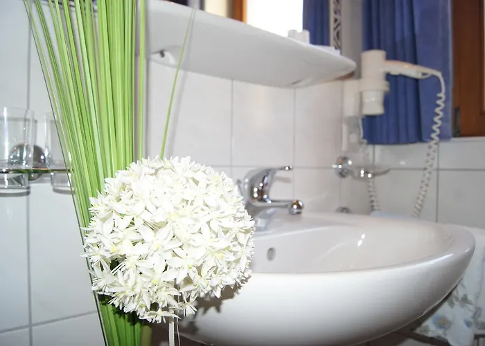 Al-collina * 卡普尔